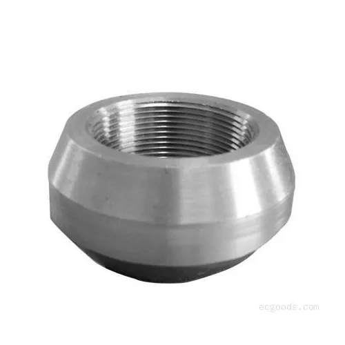 sockolet forged fittings
